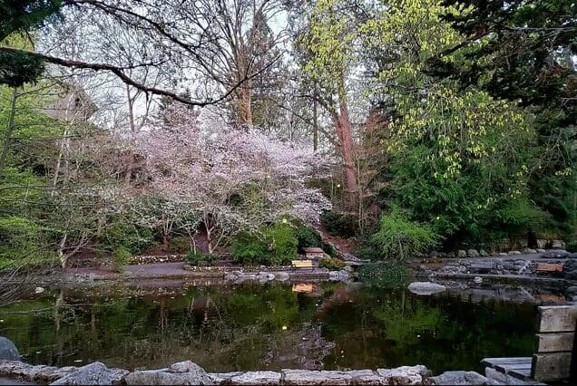 Pond 3 Day Countdown To Winter Retreat For Two in Oregon, US