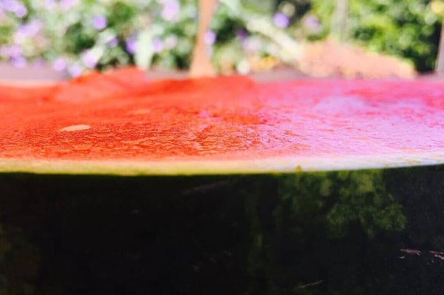 7 Day Happiness Yoga Melon