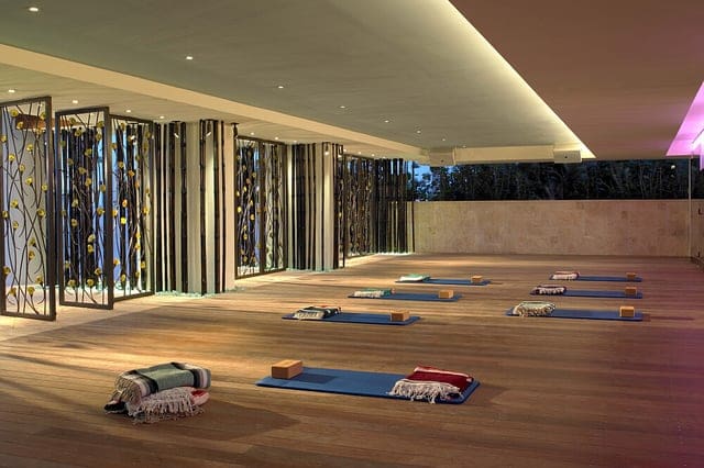 7 Day Luxury Spa & Soul Private Wellness Retreat Yoga Room