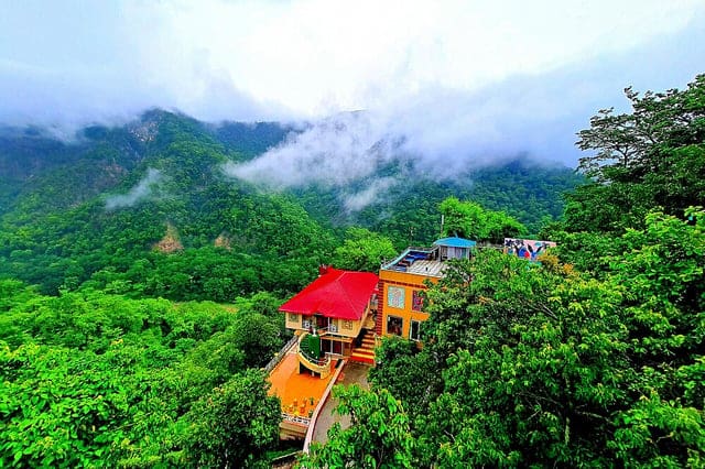8 Day Blissful Ayurvedic Detox and Yoga Retreat in Rishikesh
