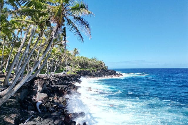 Beach 7 Day Wellness, Meditation, & Aqua Yoga Retreat in Hawaii, US