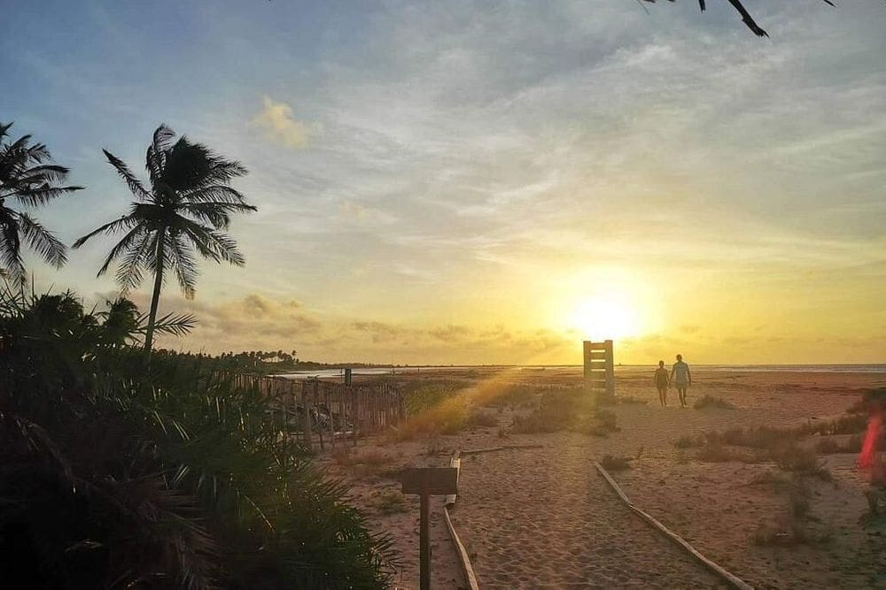 Beach Sun Rise 7 Day Beach Fitness, Bootcamps and Yoga in Sri Lanka