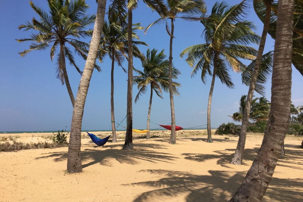 Beach and Trees 7 Day Beach Fitness, Bootcamps and Yoga in Sri Lanka
