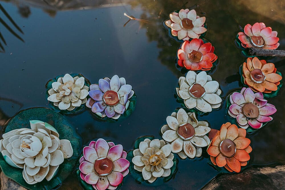 Flowers 3 Day Wellness Retreat Revolutionary Technology & Nature, CA, US