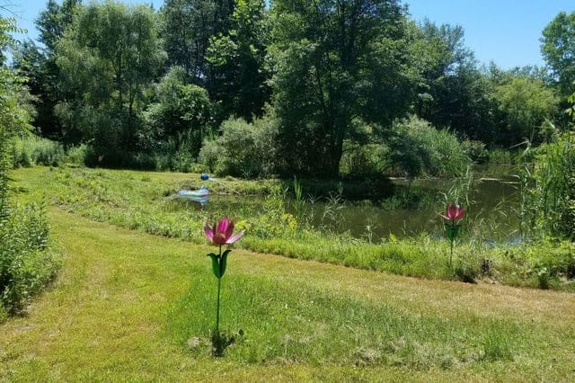 Flowers 4 Day Holistic Health Private Women's Retreat with Dr. Carla, NY, US