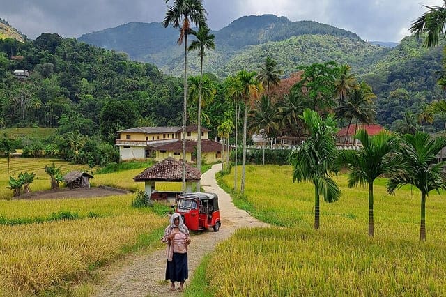 Great View 6 Day Active Yoga & Cultural Nature Retreat in Kandy,Sri Lanka