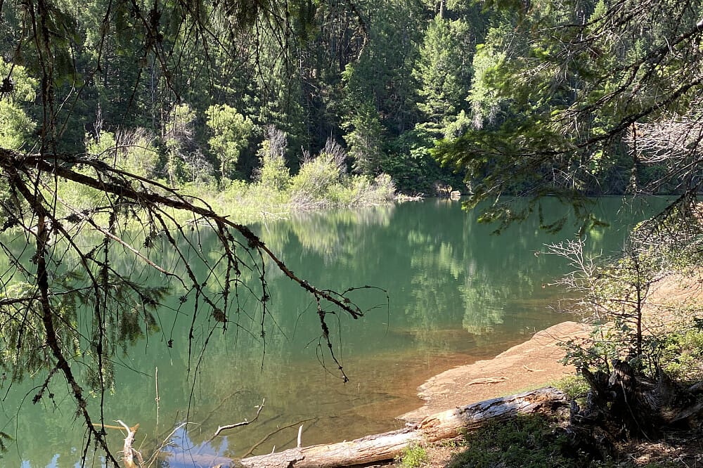 Lake Shore 3 Day Private Silent Mountain Forest Retreat in CA, USA