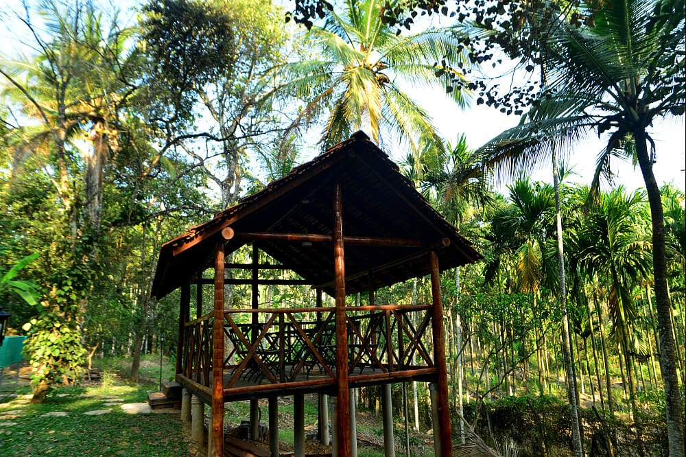 Meditation Deck 28 Day Seniors Yoga & Ayurveda Retreat in Kerala, India