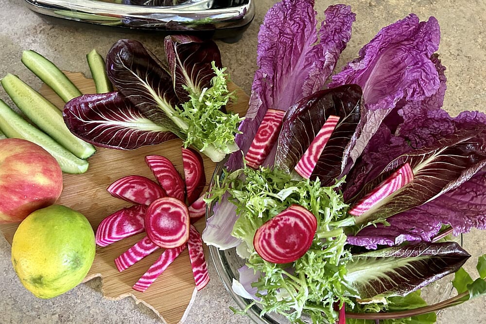 Nutritious Snacks 7 Day Trust Your Gut Live Food Cleanse in Pure Nature Hawaii