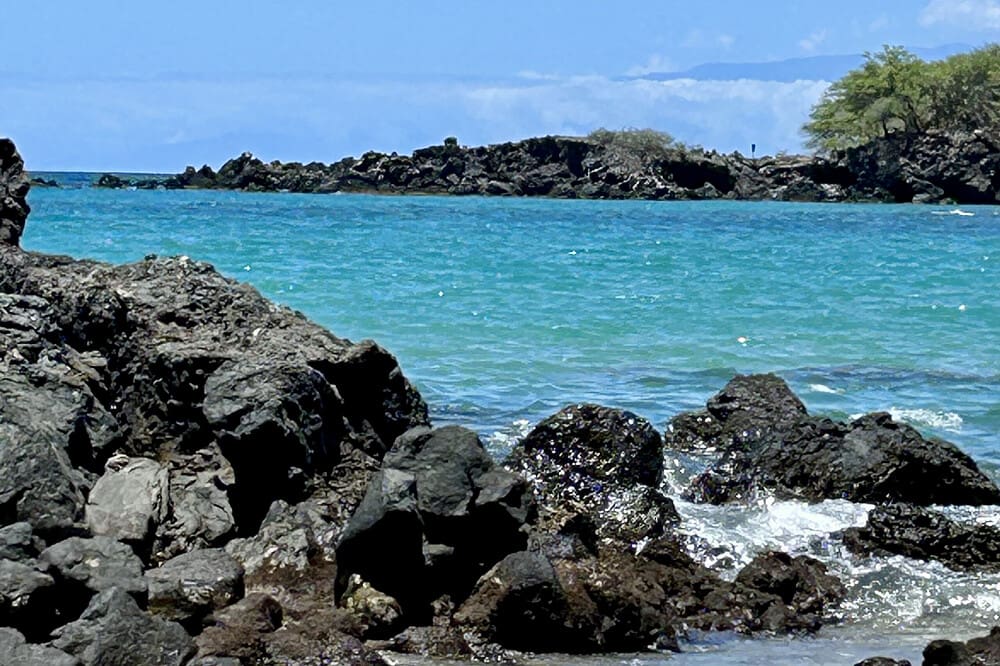 Ocean 7 Day Trust Your Gut Live Food Cleanse in Pure Nature Hawaii