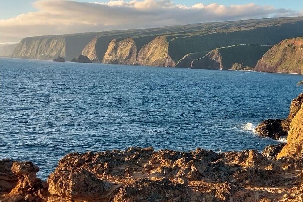 Ocean View 7 Day Trust Your Gut Live Food Cleanse in Pure Nature Hawaii