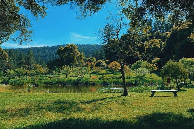 Pond View 7 Day Wellness Retreat at Eros Monastery Bay Area Mendocino US