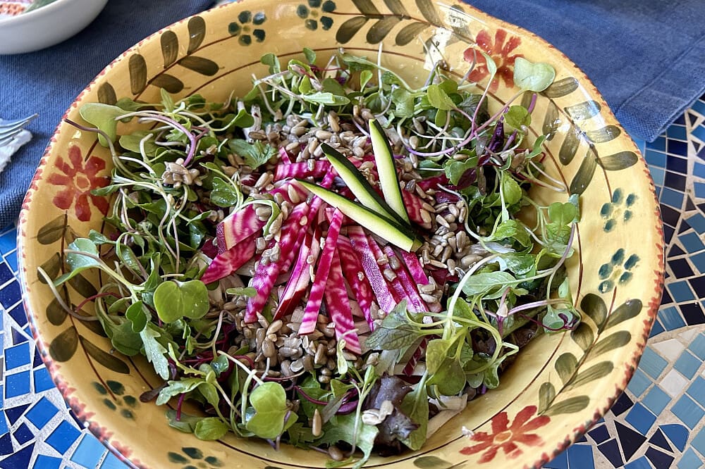 Salad 7 Day Trust Your Gut Live Food Cleanse in Pure Nature Hawaii