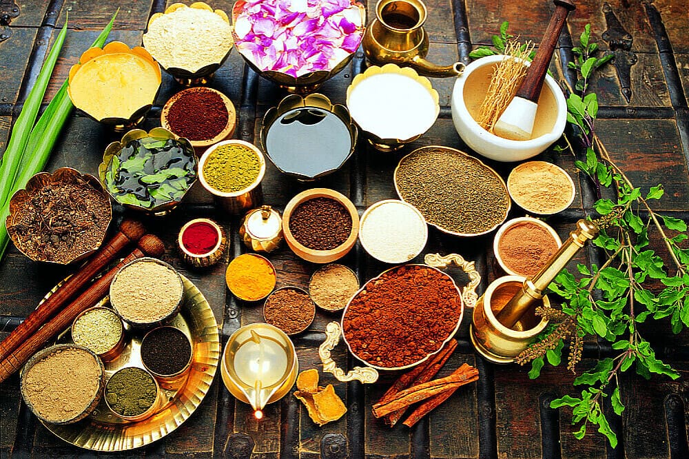 Spices 28 Day Seniors Yoga & Ayurveda Retreat in Kerala, India
