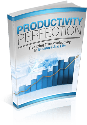 Productivity Perfection