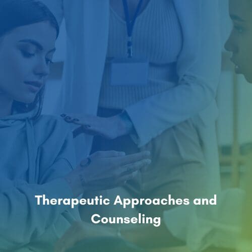 Mental Health Providers Therapeutic Approaches and Counseling